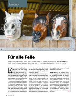 €uro Magazin 10/2026 - Die besten Tierkrankenversicherungen